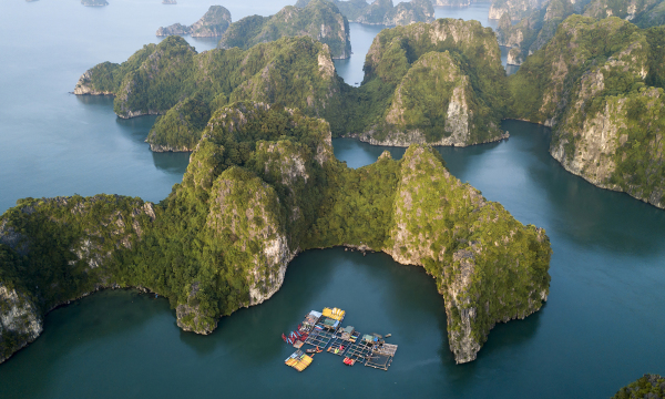 Bay thủy phi cơ ngắm vịnh Hạ Long